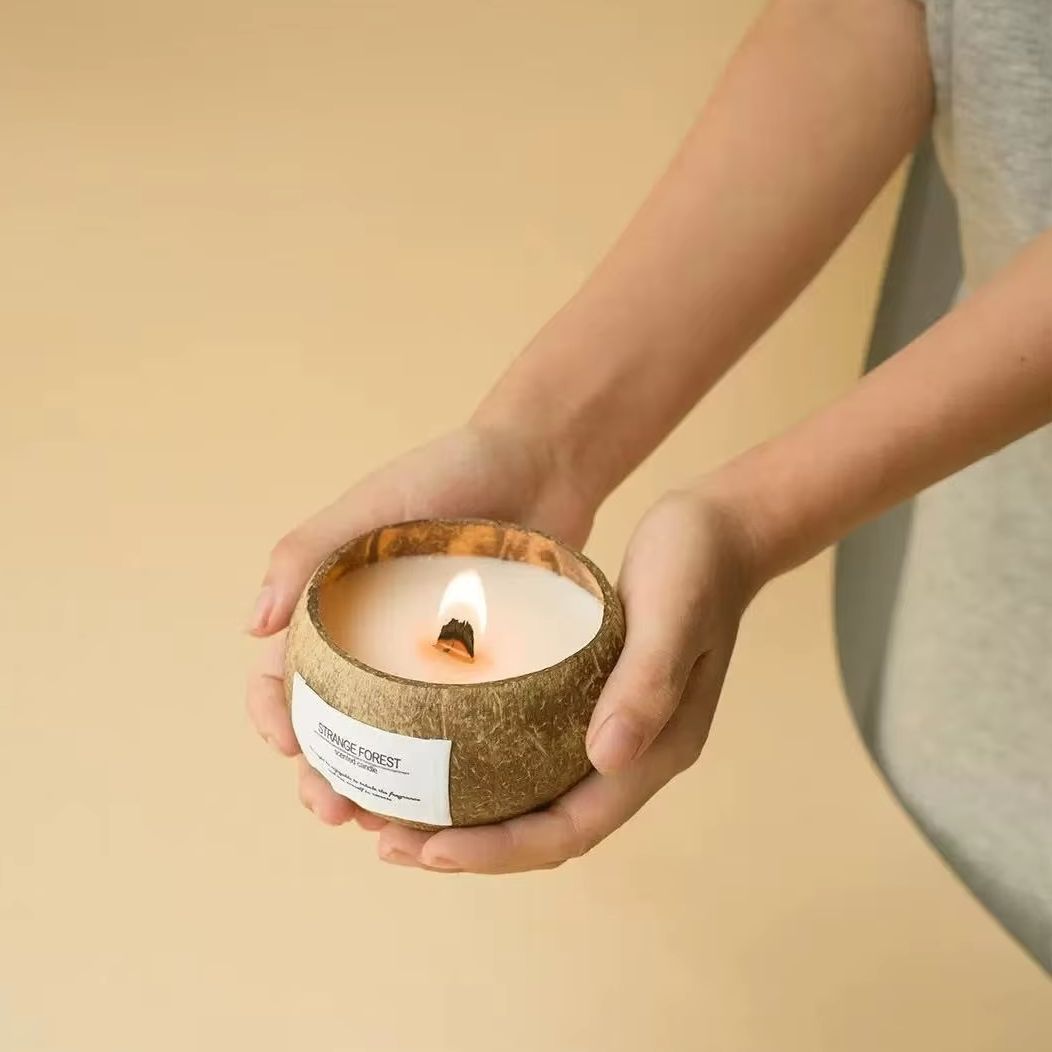 Candela profumata con guscio d - Candle Supplies Free Shipping recensione e prezzo